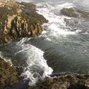 Photo of Anastasiya D.