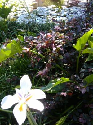 photo of Brittney R.