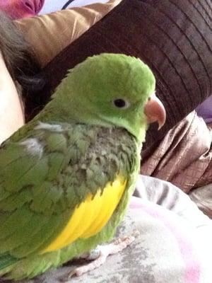 photo of Michelle K.