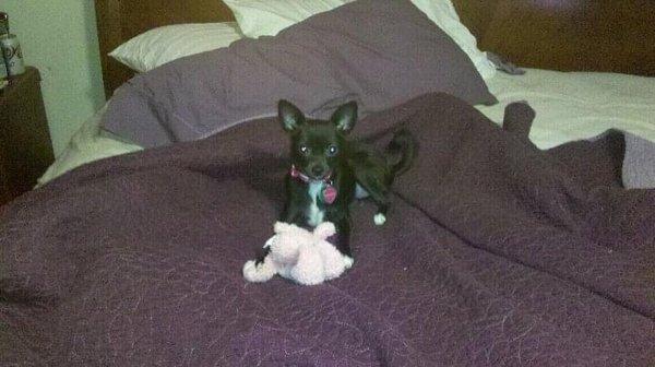 photo of Caroline K.