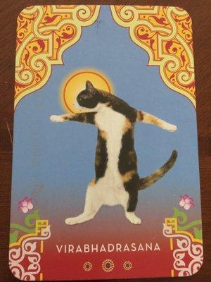 Photo of Christine C.