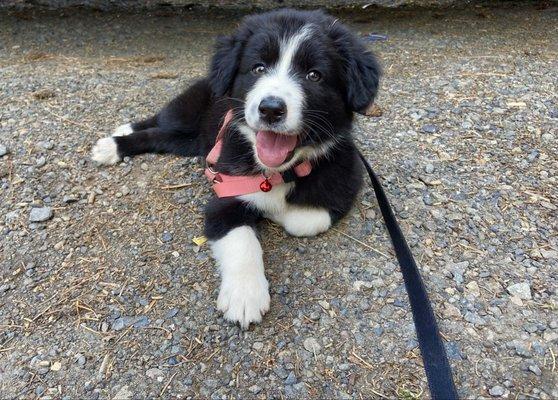 Photo of Sharisse H.