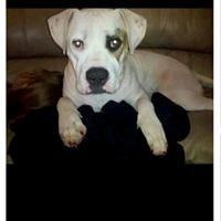 photo of Danielle T.