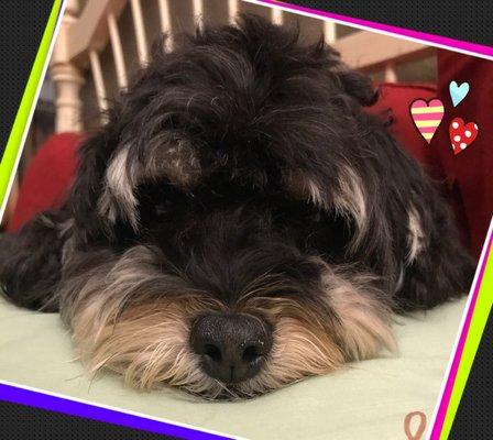 photo of Michelle L.