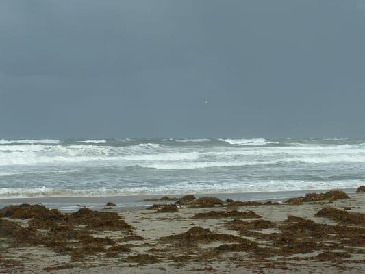 photo of Francine B.