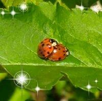 photo of Kathleen H.