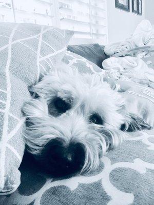 photo of Alexander K.