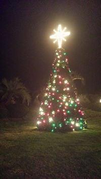 photo of Catherine M.