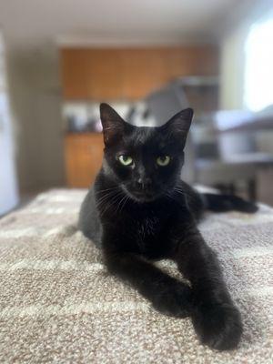 photo of Courtney T.