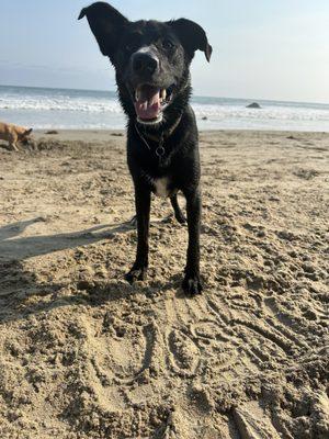 photo of Victoria B.