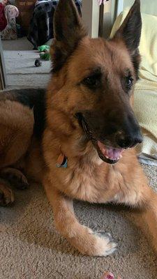 photo of Alisabeth D.