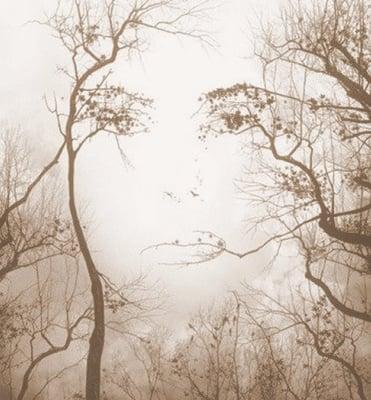 Photo of Sue M.