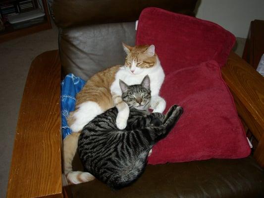 photo of Elisabet V.