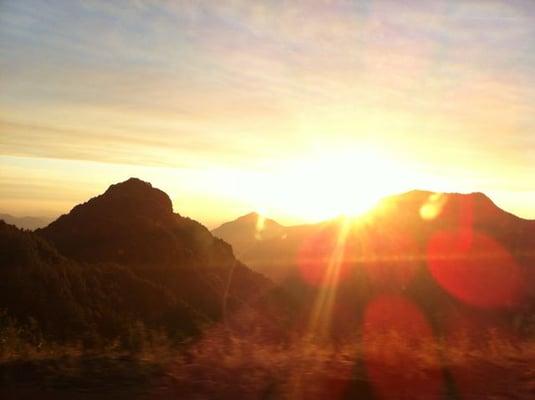 photo of Tiffanie T.