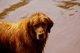 photo of Dave S.