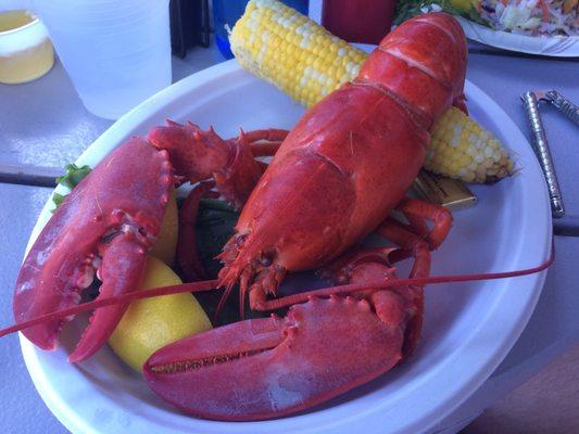 photo of Jingjing C.