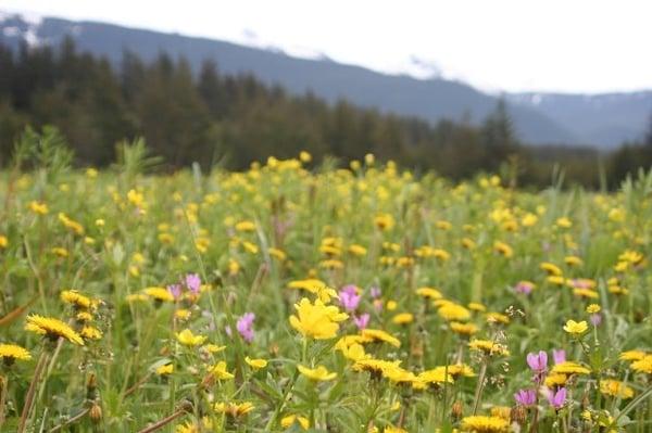 Photo of KellMell K.