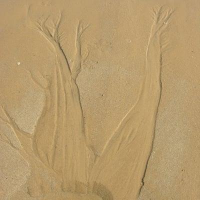 Photo of Kai-leen H.