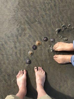 photo of No Me Digas D.