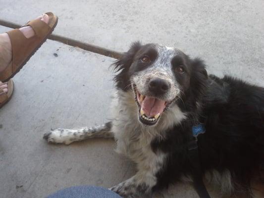 photo of Stephanie F.