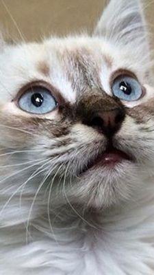 photo of Jennifer T.