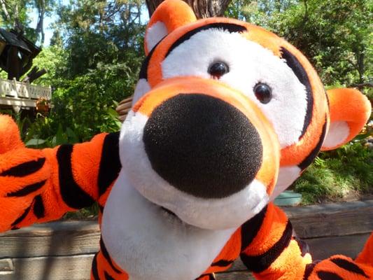 photo of TIGGER P.