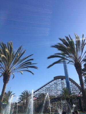 Photo of Cali Girl M.