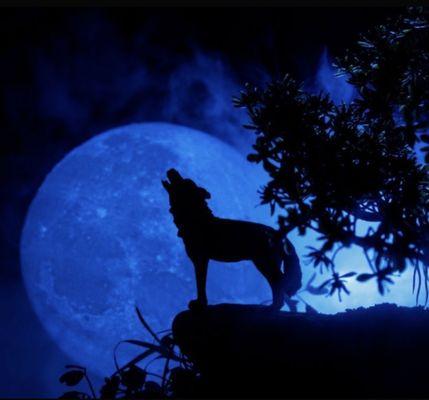 photo of Alexander G.