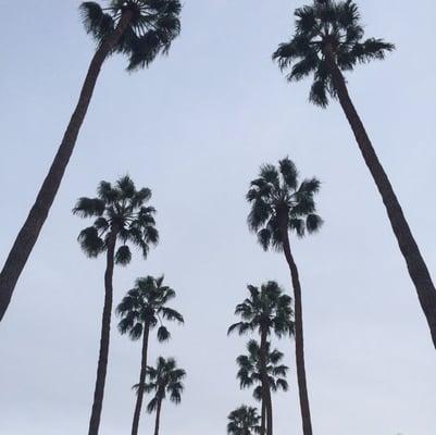 photo of Chrisitna C.