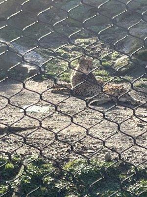 photo of Randolph L.