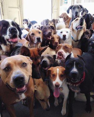 photo of Chrystie S.