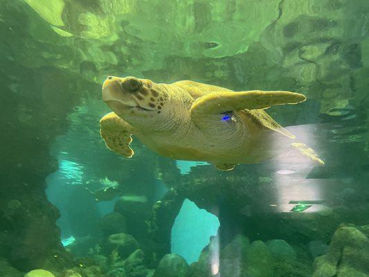 photo of Bernardo R.