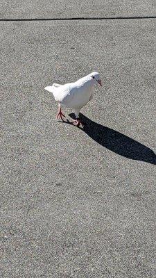 photo of Danielle Z.