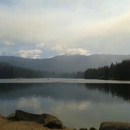 photo of Cherisse S.