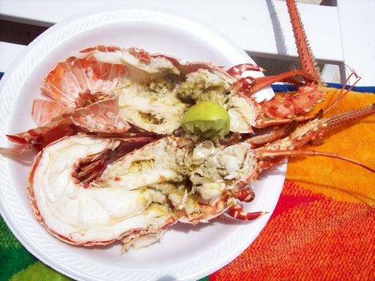 photo of Courtney H.