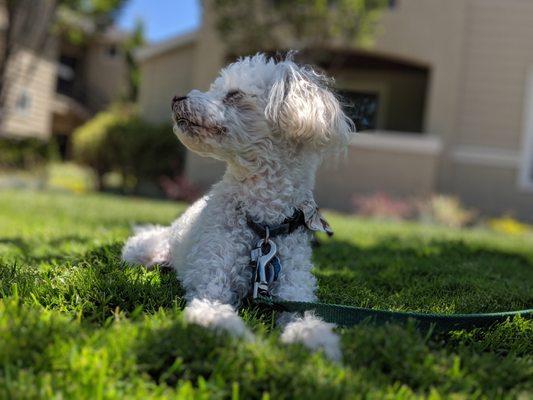 photo of Danielle S.