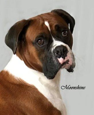 Photo of Mickey C.