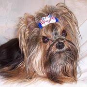 Photo of Drema H.