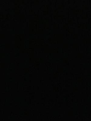 Photo of DL D.