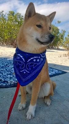 photo of GodBless T.