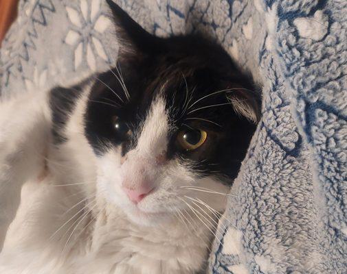 photo of Patricia C.