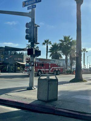 photo of Mallorie V.