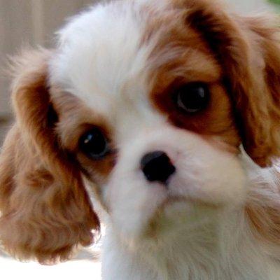 photo of Stephanie H.