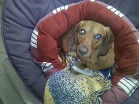 photo of Samantha D.