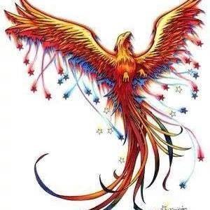 photo of Kimberley S.