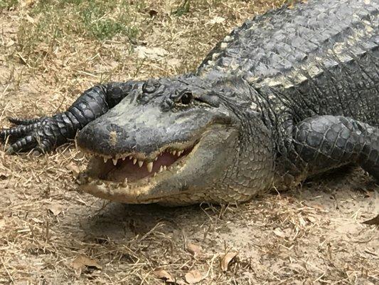 Photo of Brittany S.