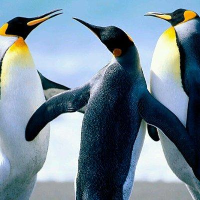 Photo of EandBarb P.