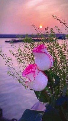 Photo of Sun S.