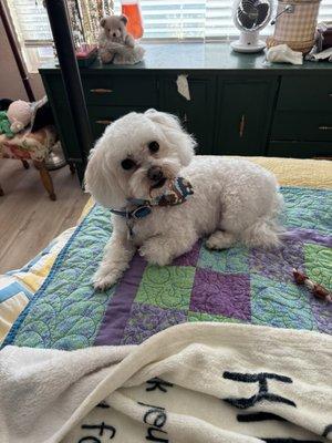 photo of Patricia M.