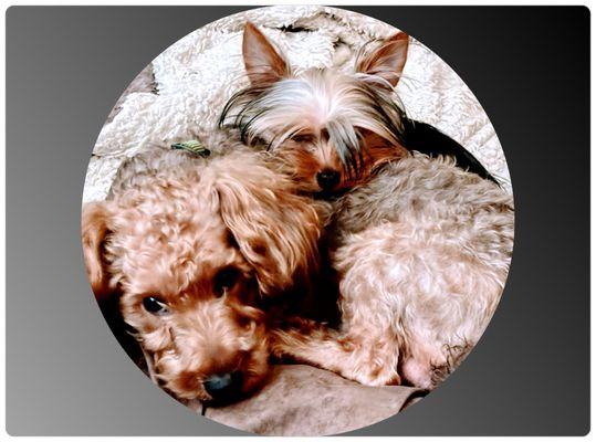 photo of Christopher B.